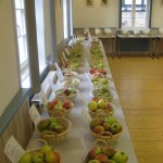 Sortenbestimmungsseminar im Seminarhaus „Altes Forsthaus“ Germerode