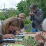 Ausbildung zur Streuobst-Pädagog*in in Hessen (2023)