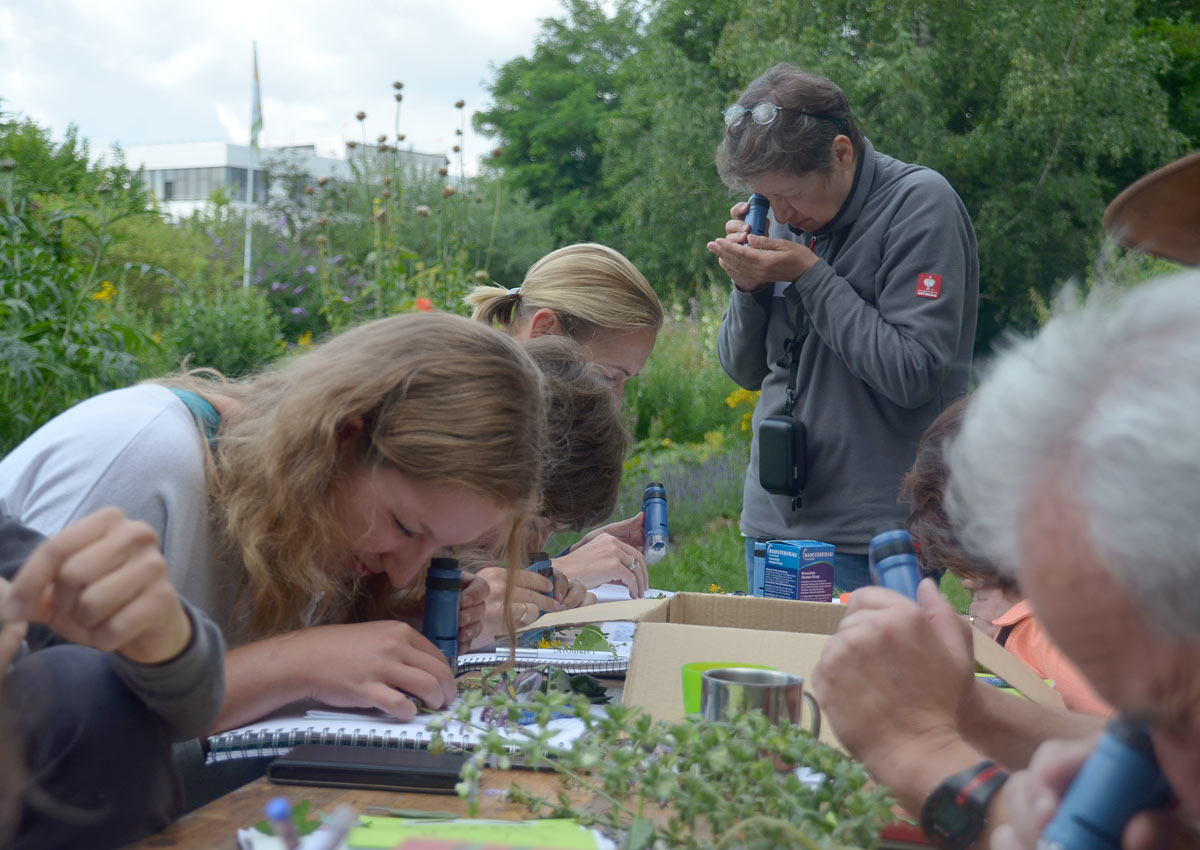 Ausbildung zur Streuobst-Pädagog*in in Hessen (2023)
