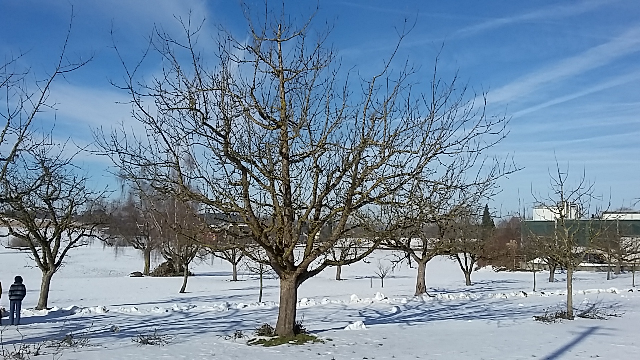 Schnittkurse November 2024 bis März 2025