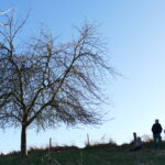 Obstbaumpflege-Fortbildung