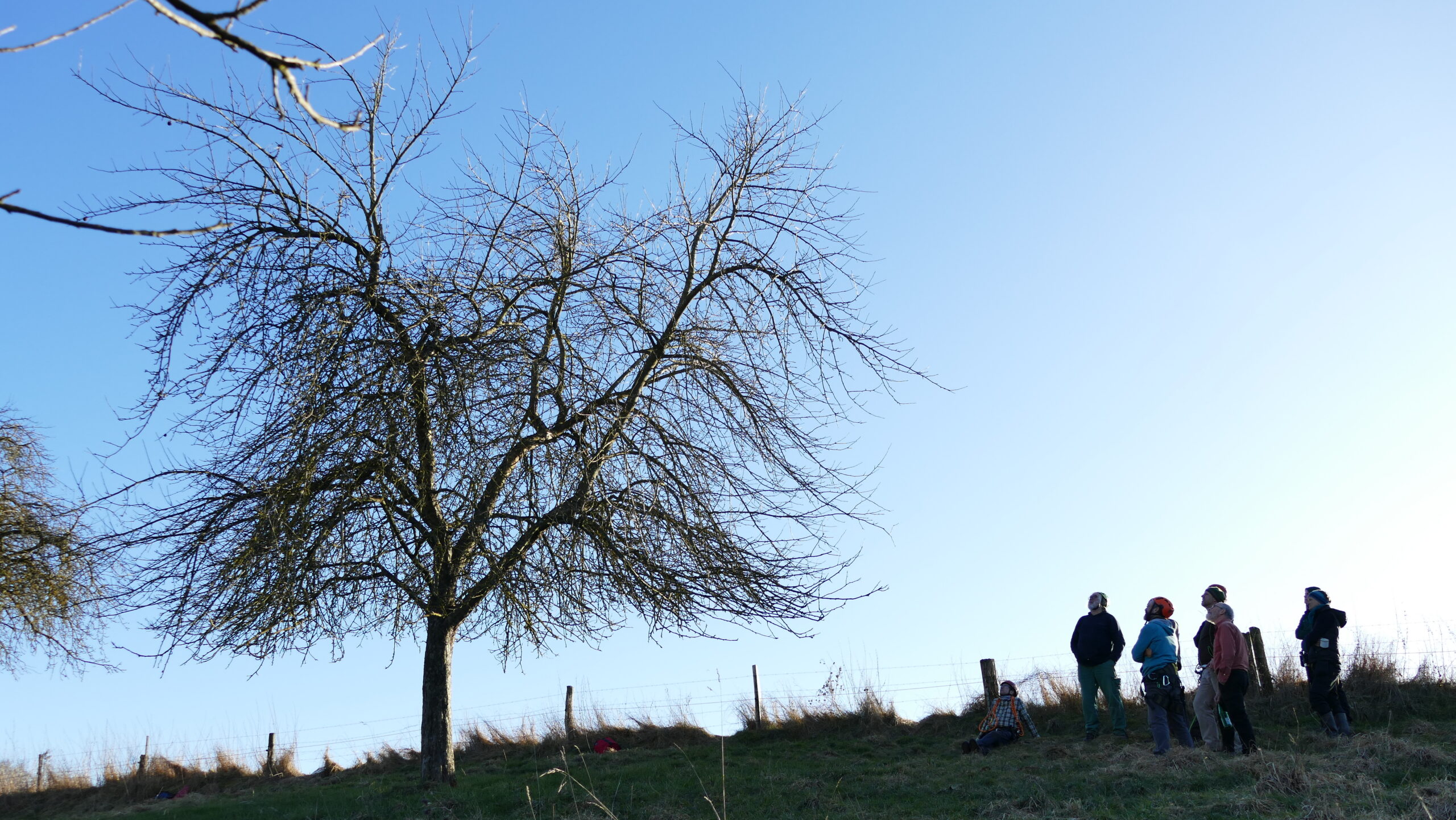 Obstbaumpflege-Fortbildung